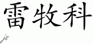 Remcoƴд