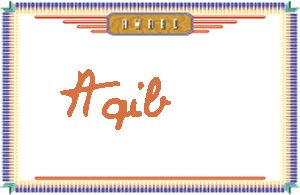 AqibдӢ