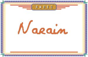 NarainдӢ