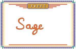 Sage的手写英文