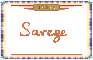 SavegeдӢ
