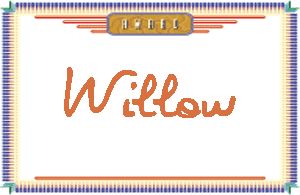 Willow的手写英文